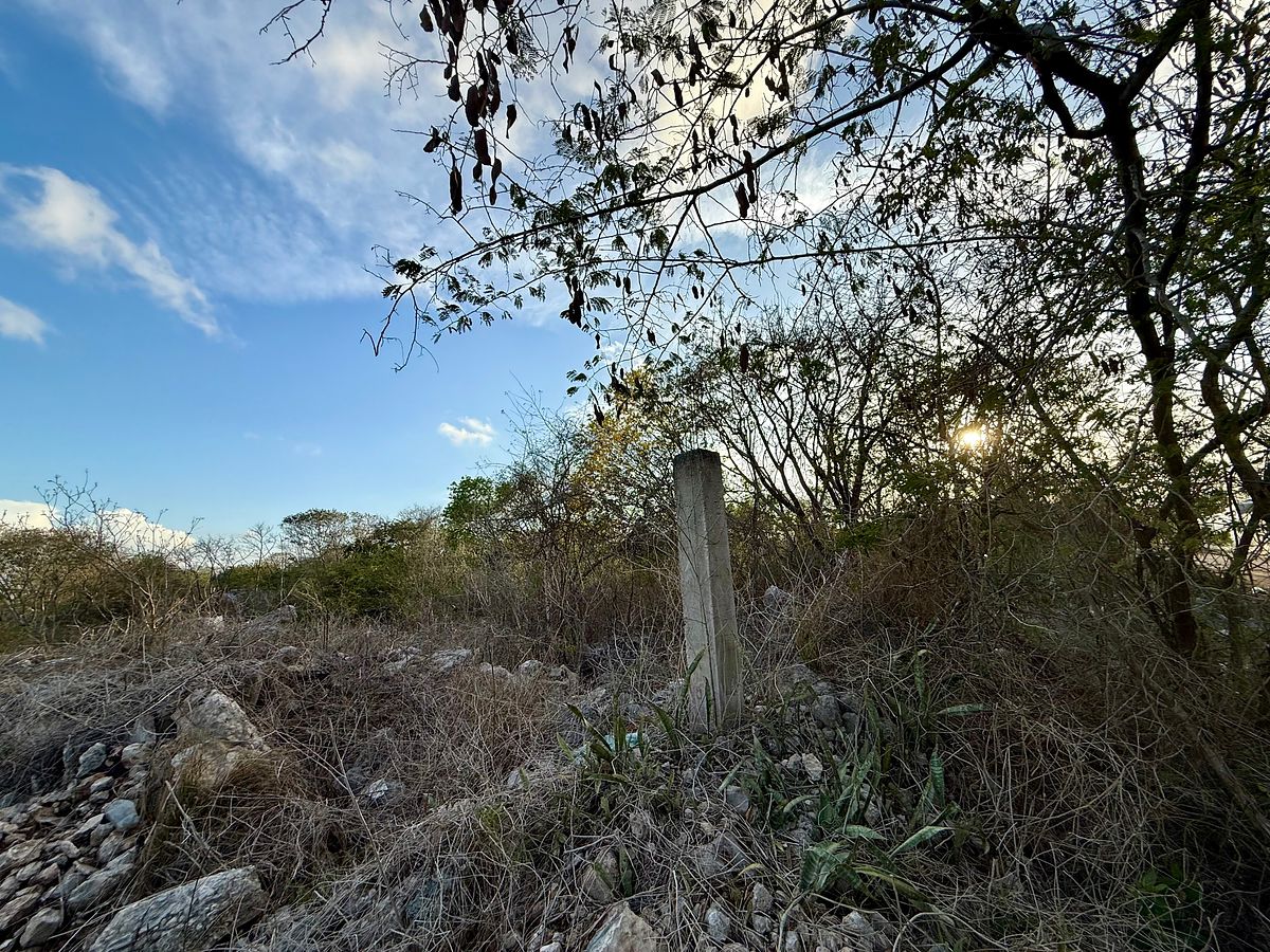Lote em Dzityá, Mérida, foto 5 de 10