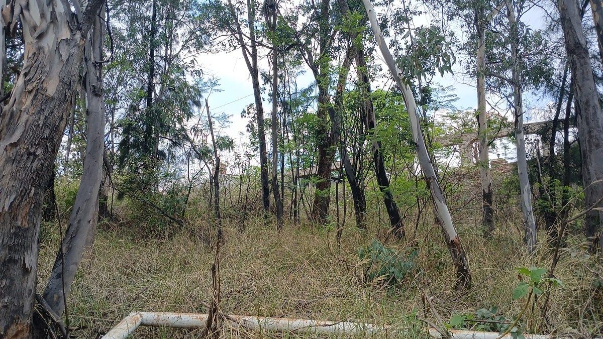 Terreno en Hacienda Mirage, Tlajomulco de Zúñiga, foto 3 de 7