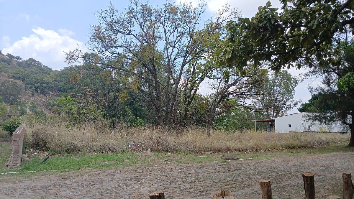 Terreno en Hacienda Mirage, Tlajomulco de Zúñiga, foto 6 de 7