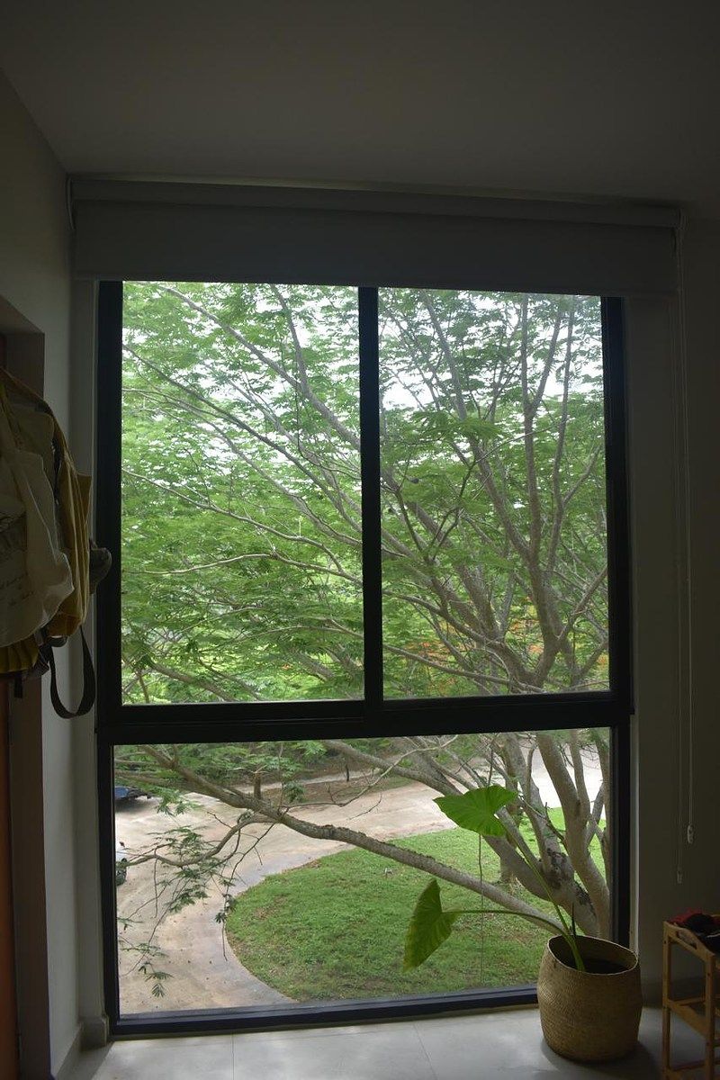 Casa en Cabo Norte, Mérida, foto 8 de 25