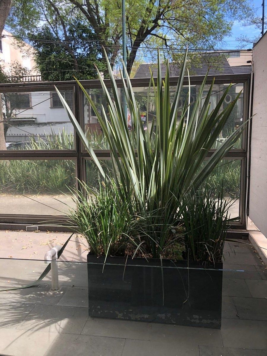 Apartamento em Polanco IV Sección, Miguel Hidalgo, foto 11 de 13