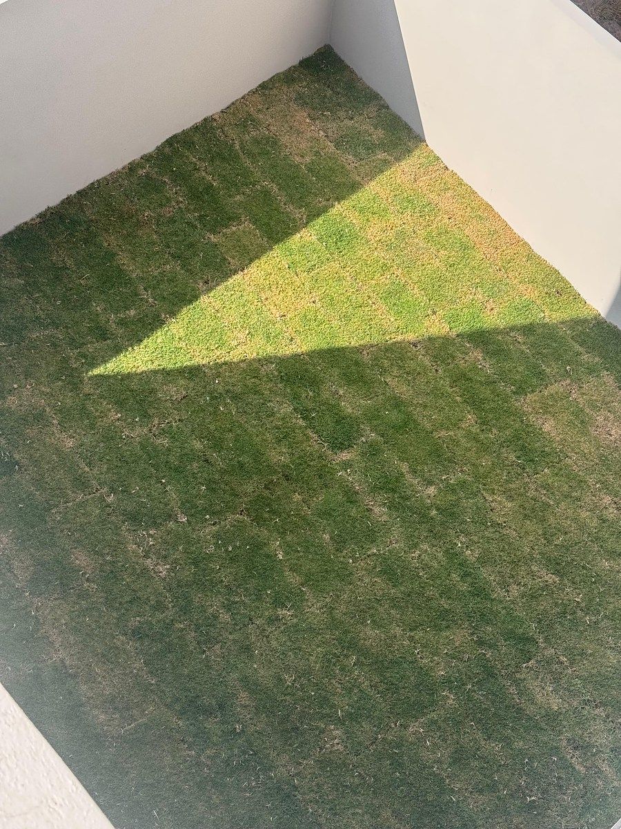 Casa em Lomas del Pedregal, San Luis Potosí, foto 20 de 29