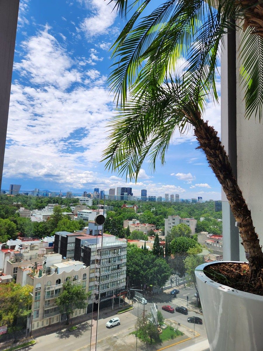 Apartamento em Colonia Condesa, Cuauhtémoc, foto 5 de 23