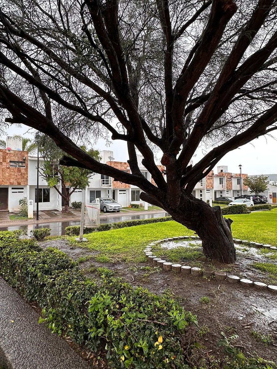 Casa en condominio en Palmares, Querétaro, foto 21 de 21