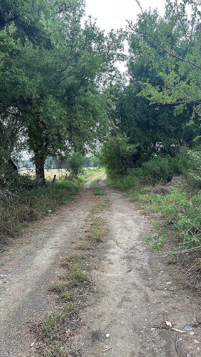 Terreno industrial en Pesquería, Pesquería, foto 3 de 8