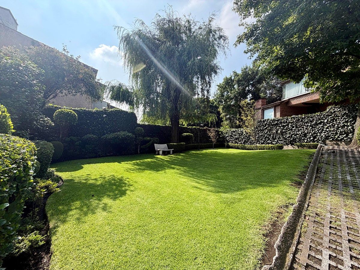 Jardín común, foto 21 de 23