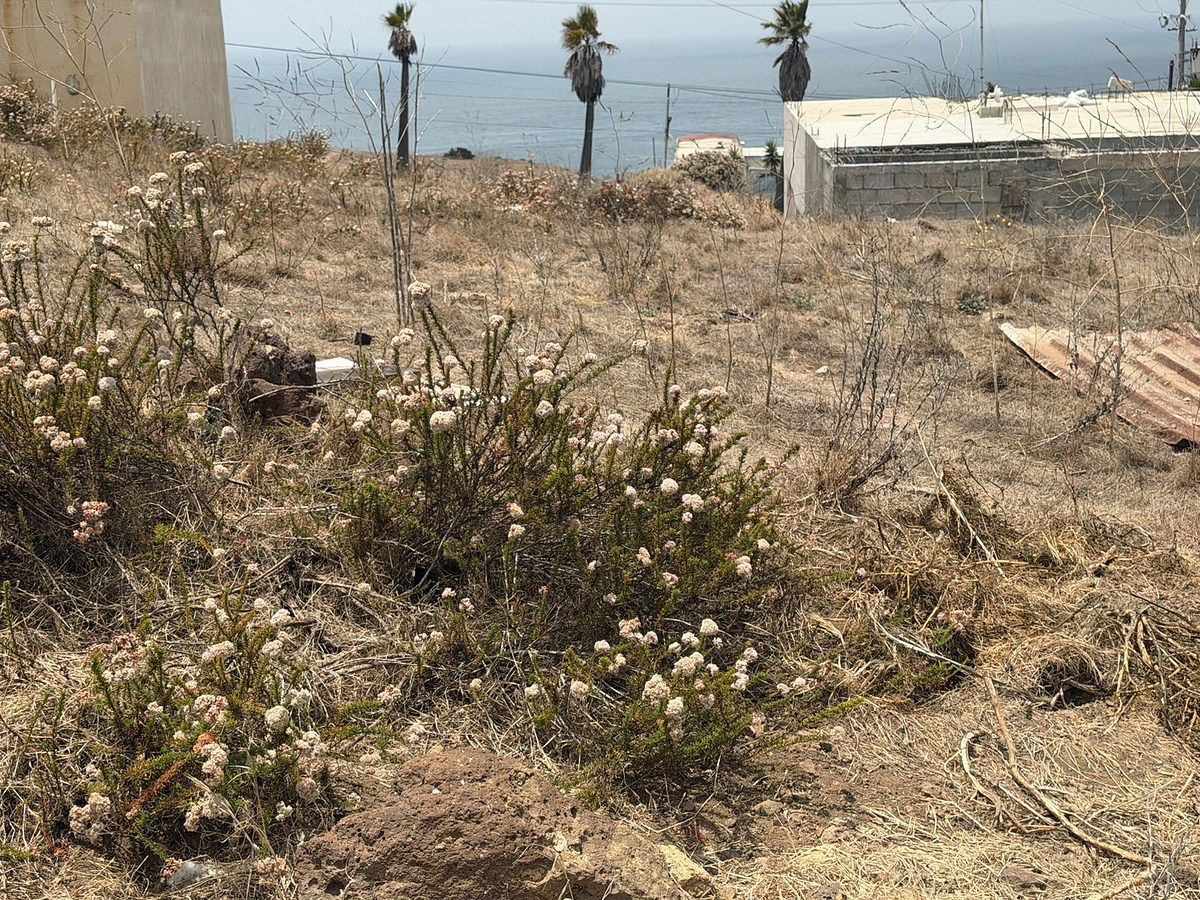 Lot in Mar de Popotla, Playas de Rosarito, photo 5 of 6