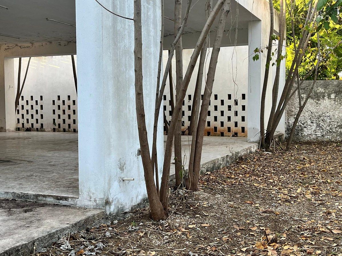 Lote em Itzimna, Mérida, foto 17 de 23