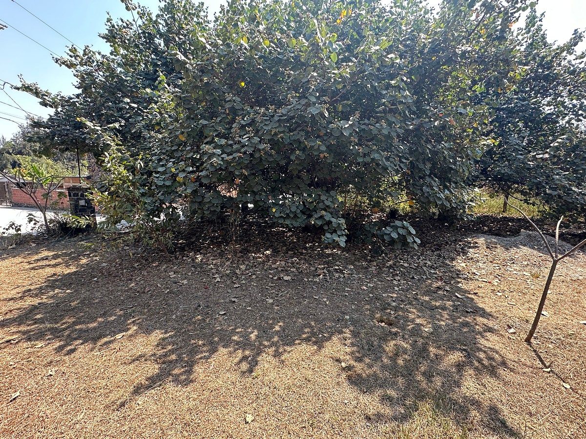 Lot in Lomas de Jiutepec, Jiutepec, photo 6 of 24