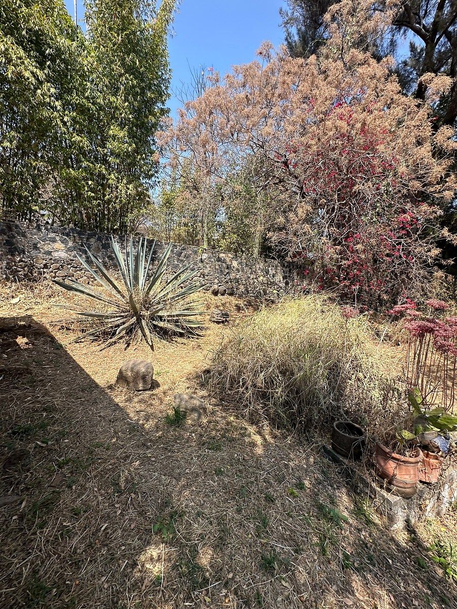 Lot in Lomas de Jiutepec, Jiutepec, photo 16 of 24
