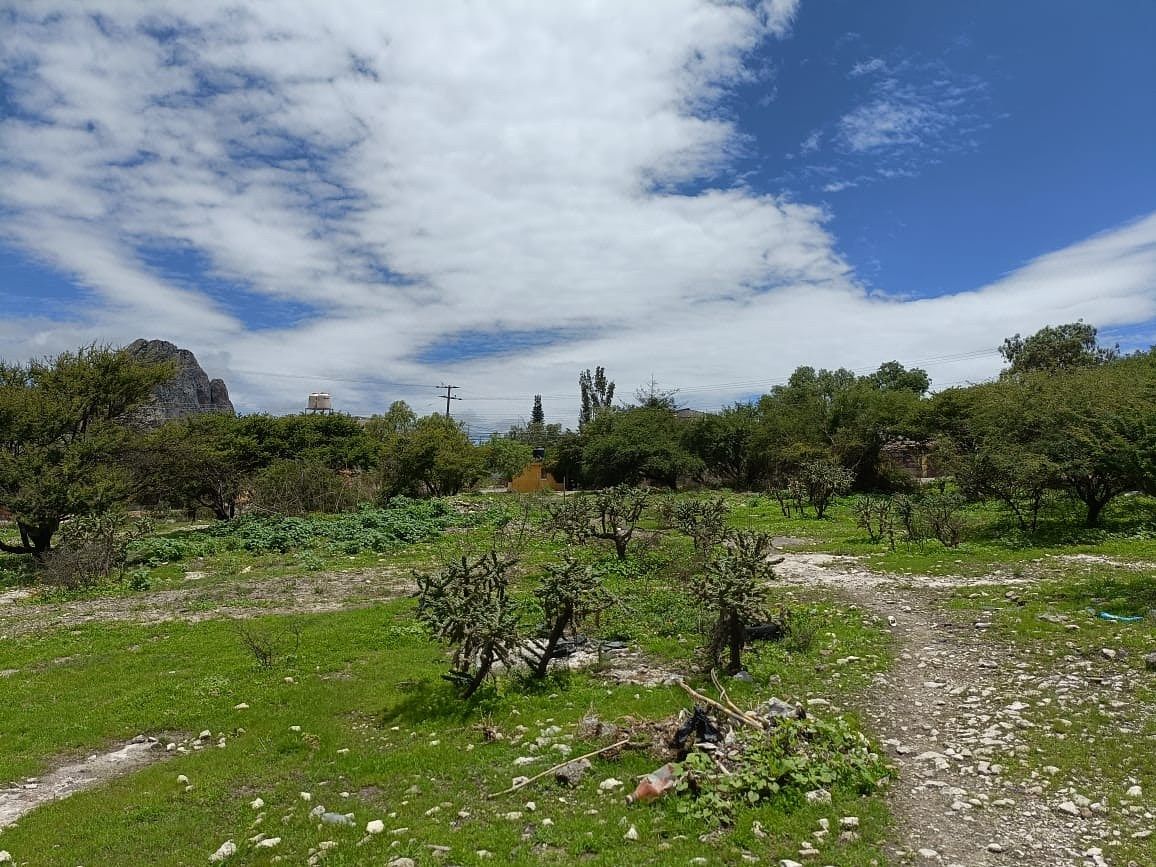 Terreno en venta en Bernal - foto 5