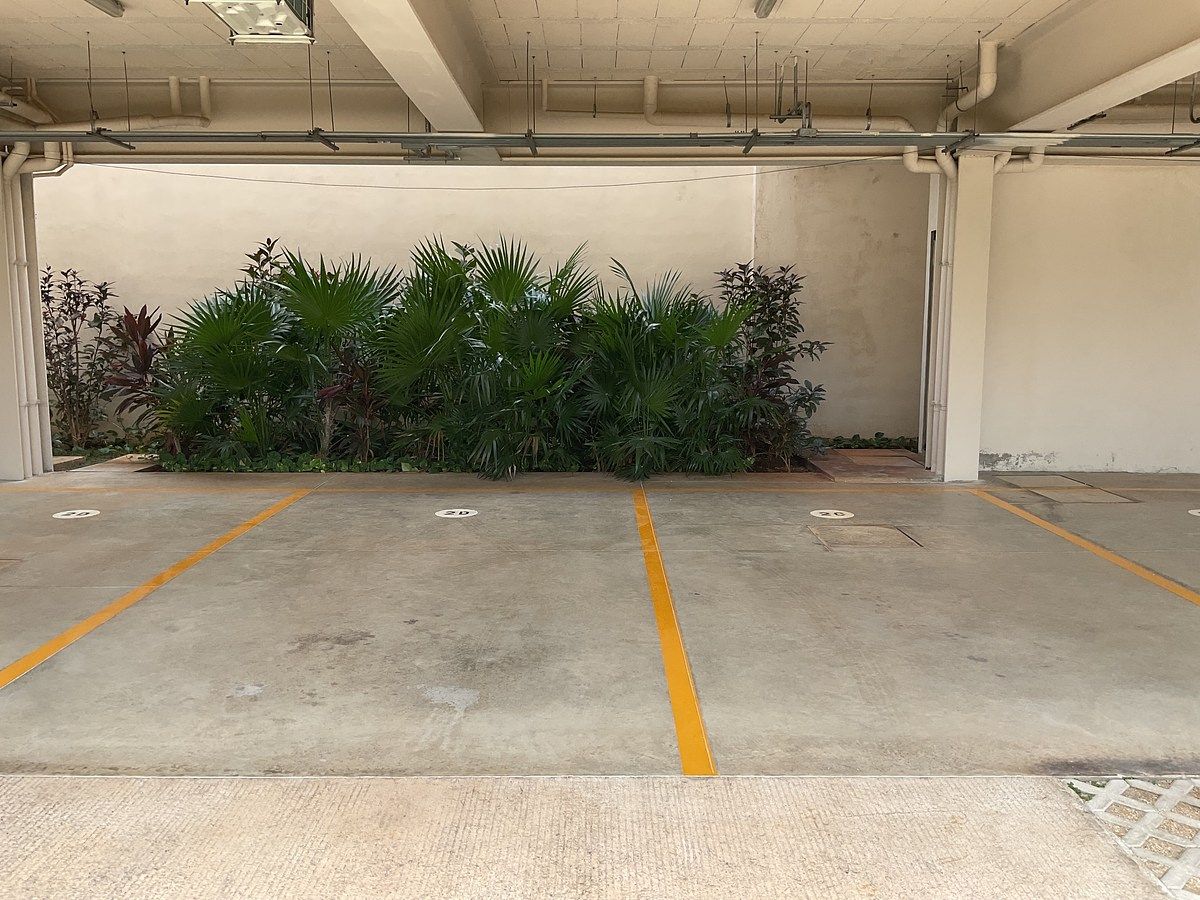 Departamento en Benito Juárez Nte, Mérida, foto 19 de 34