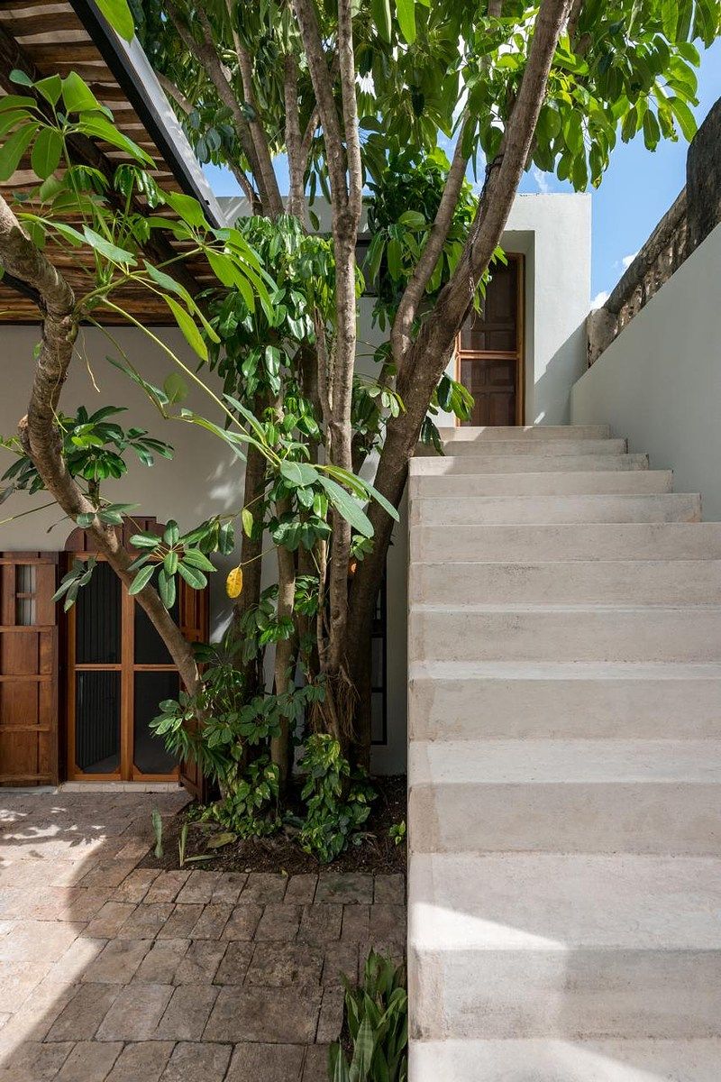 House in Mérida Centro, Mérida, photo 27 of 50