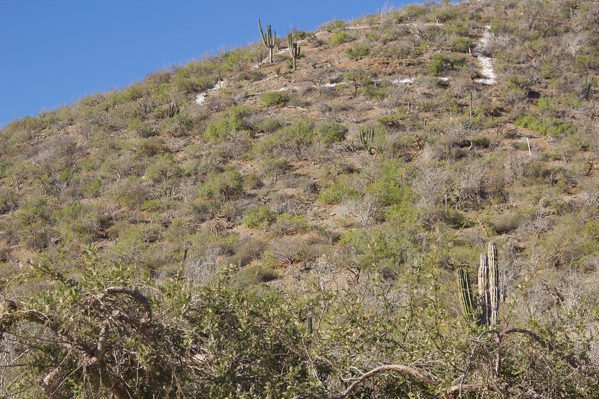 Terreno en Los Cerritos, La Paz, foto 3 de 12