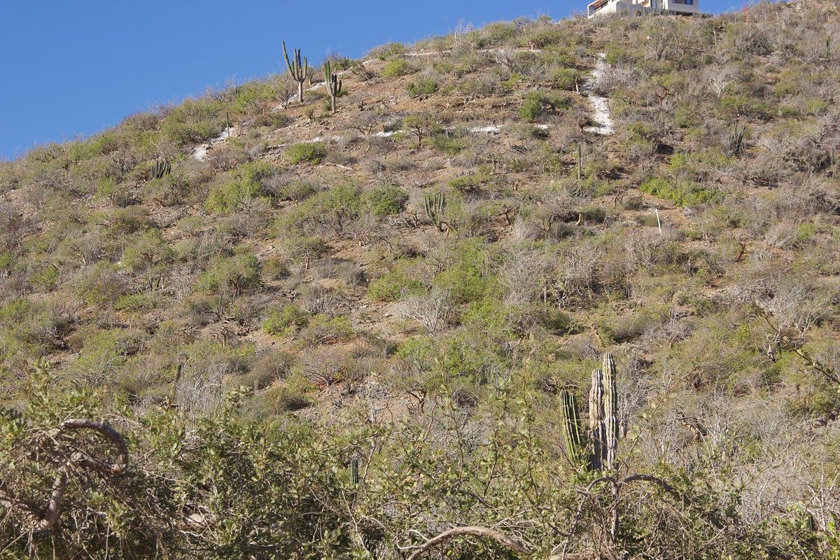 Terreno en Los Cerritos, La Paz, foto 5 de 12