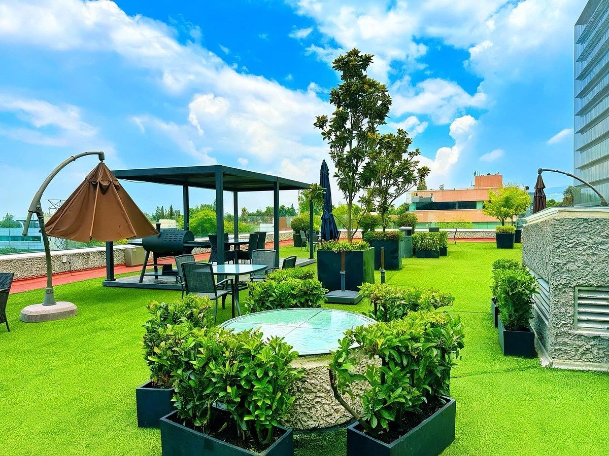 Roof garden, foto 36 de 36