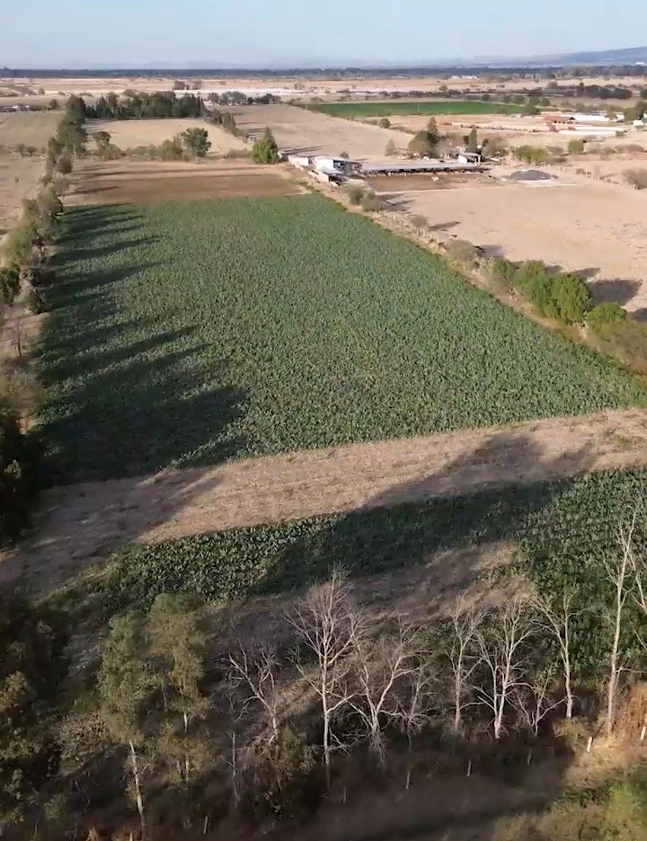 Rancho en Pabellón de Hidalgo Centro, Rincón de Romos, foto 31 de 33