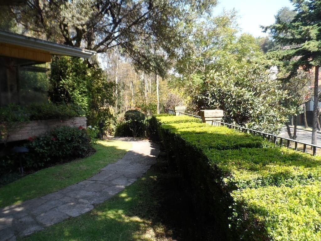 BOSQUES DE LAS LOMAS, foto 1 de 50