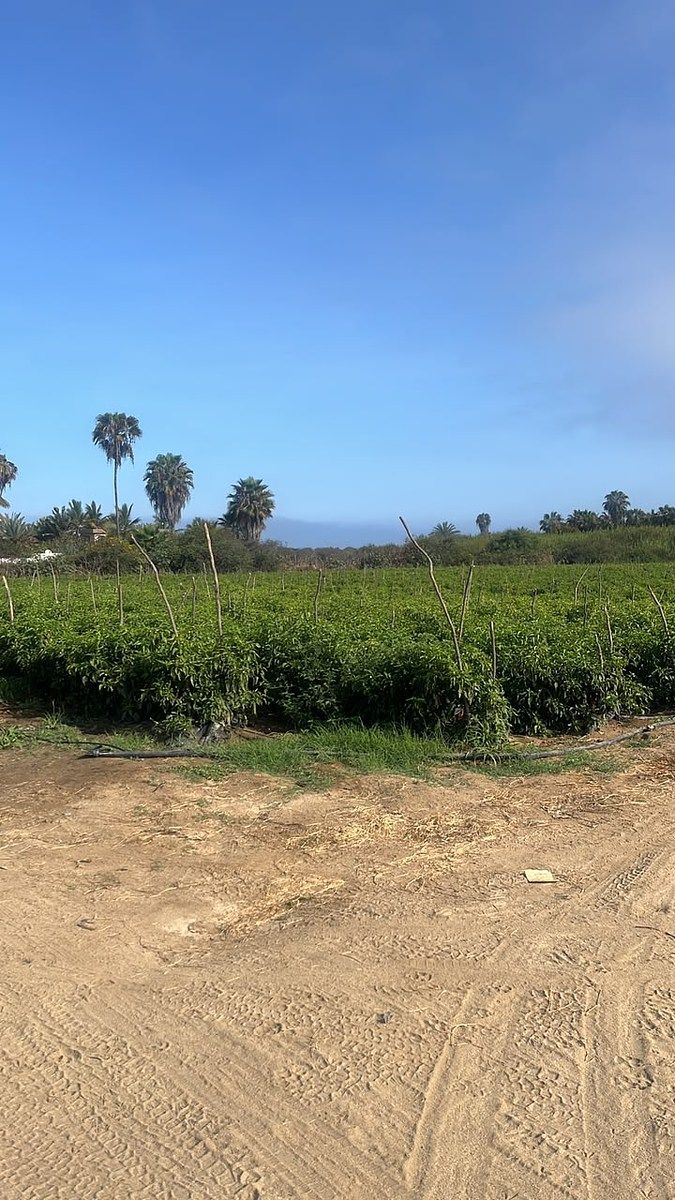 Lote em Plutarco Elias Calles, La Paz, foto 3 de 8