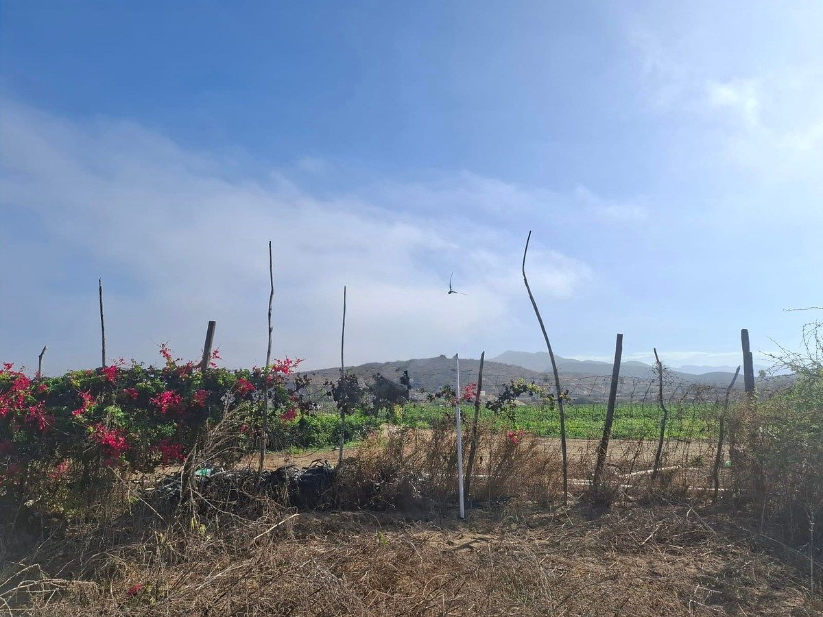 Lote em Plutarco Elias Calles, La Paz, foto 6 de 8