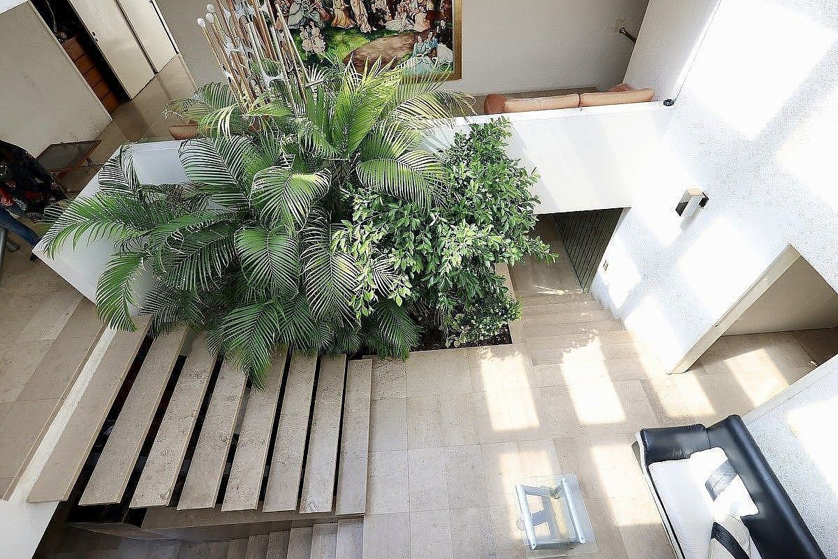 Casa en Jardines del Pedregal, Álvaro Obregón, foto 17 de 19
