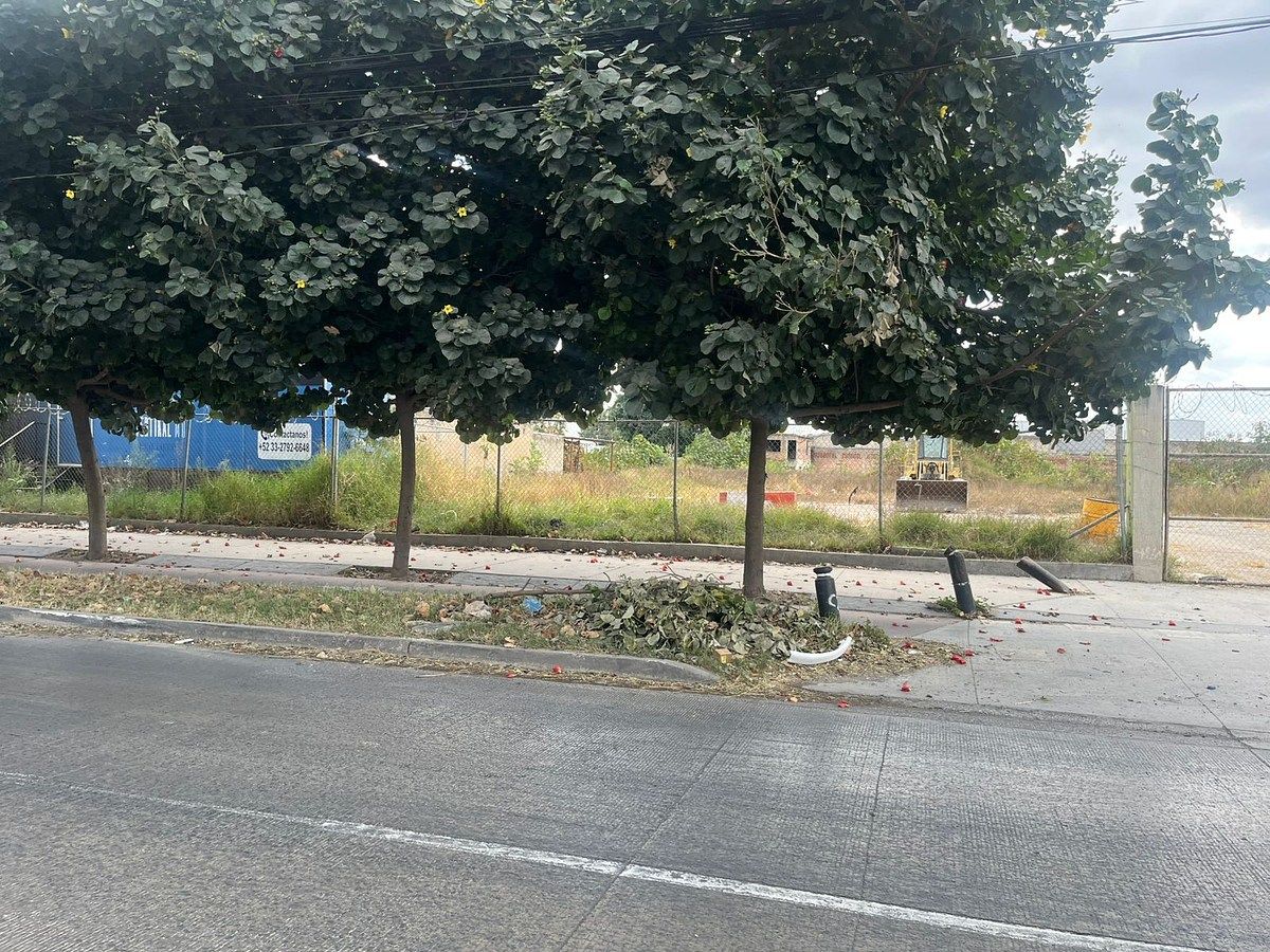 Lote em Mariano Otero, Zapopan, foto 2 de 6