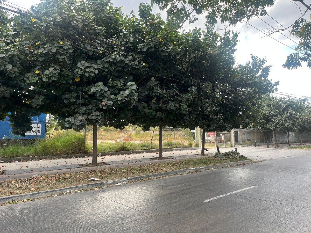 Lote em Mariano Otero, Zapopan, foto 5 de 6