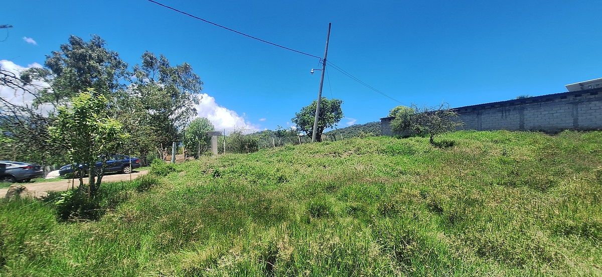 Lote em Santa Teresa Tilostoc, Valle de Bravo, foto 45 de 49