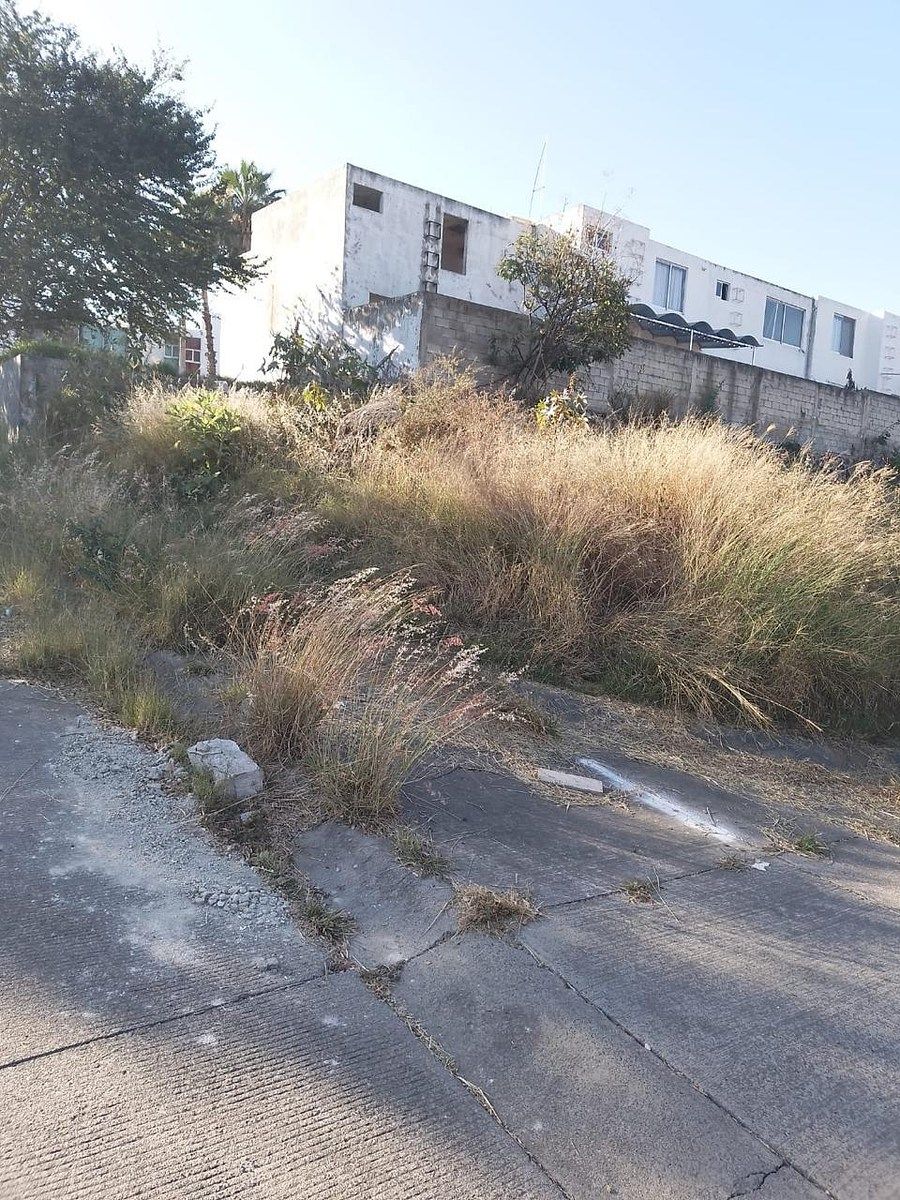 Lote em Tonalá Centro, Tonalá, foto 6 de 8