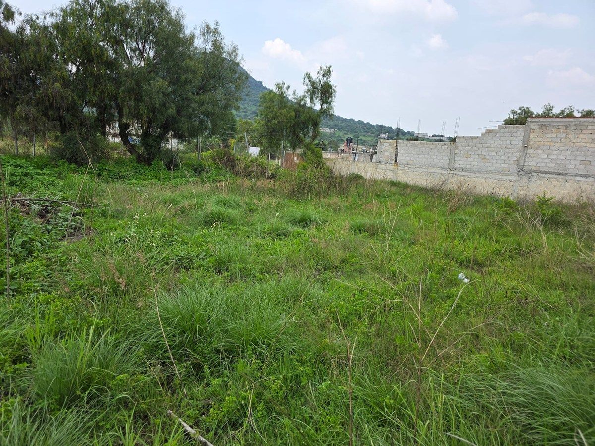 Terreno en San Mateo Xoloc, Tepotzotlán, foto 6 de 10