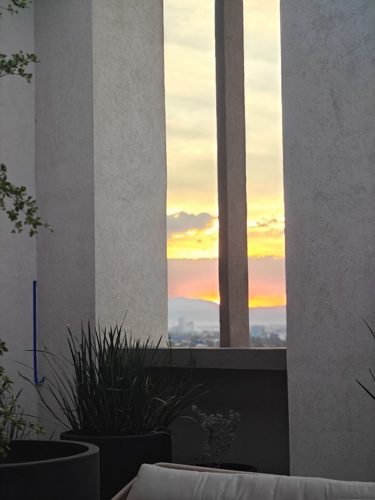 Apartment in Lafayette, Guadalajara, photo 13 of 22