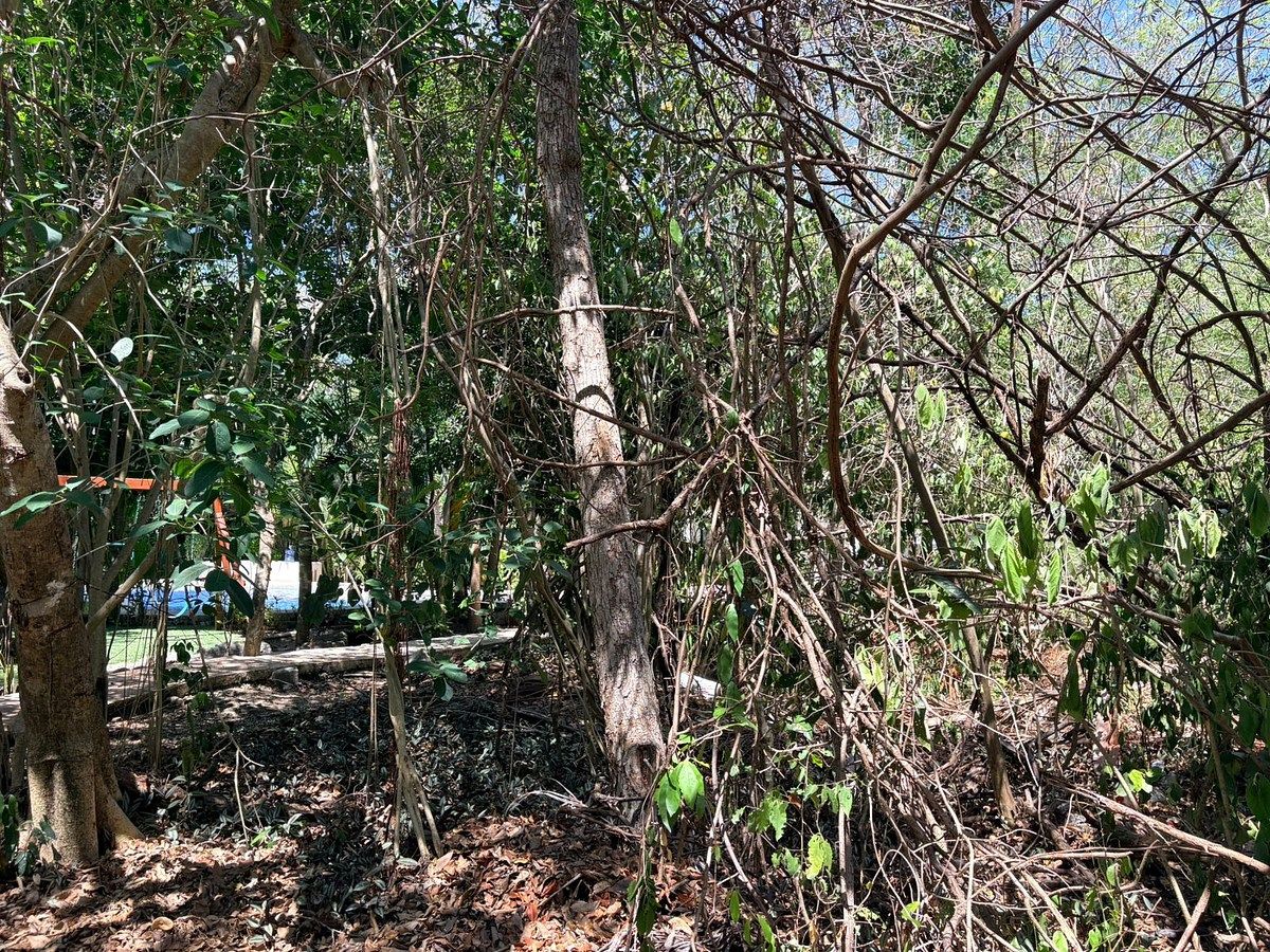 Lote em Selvamar, Playa del Carmen, foto 2 de 4