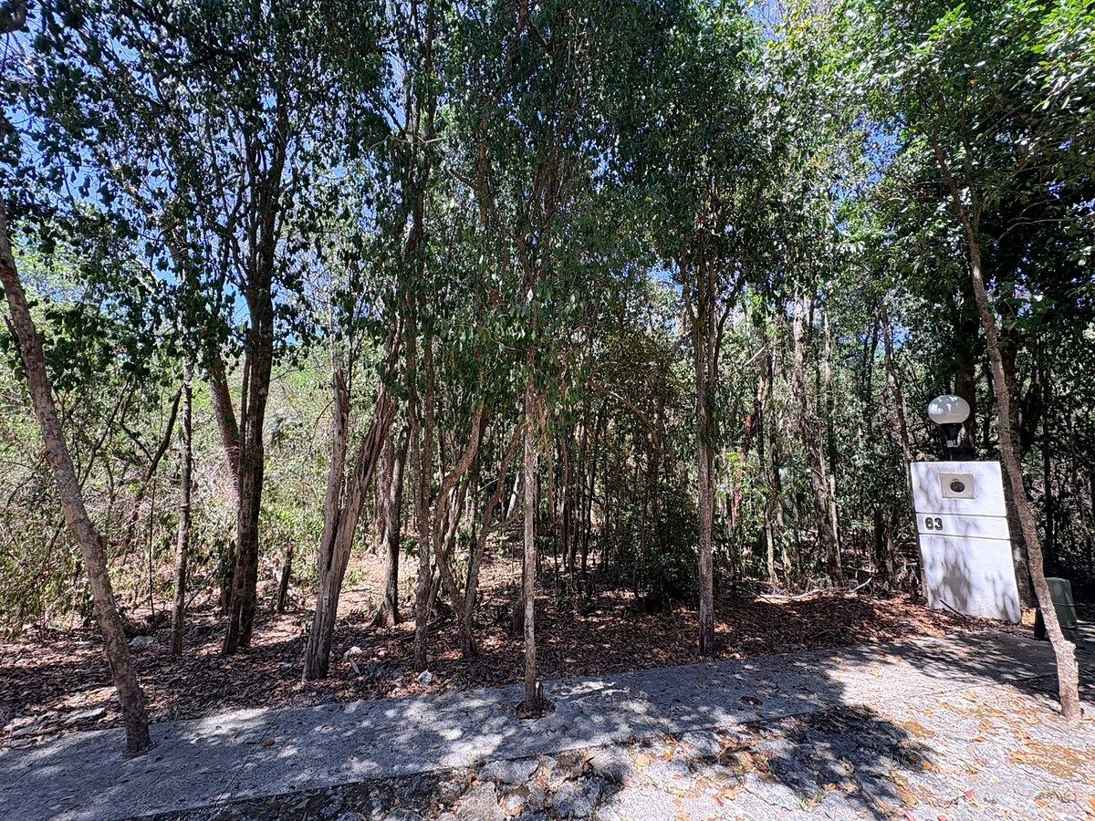 Lote Residencial en Venta en Selvamar Playa del Carmen, foto 1 de 4