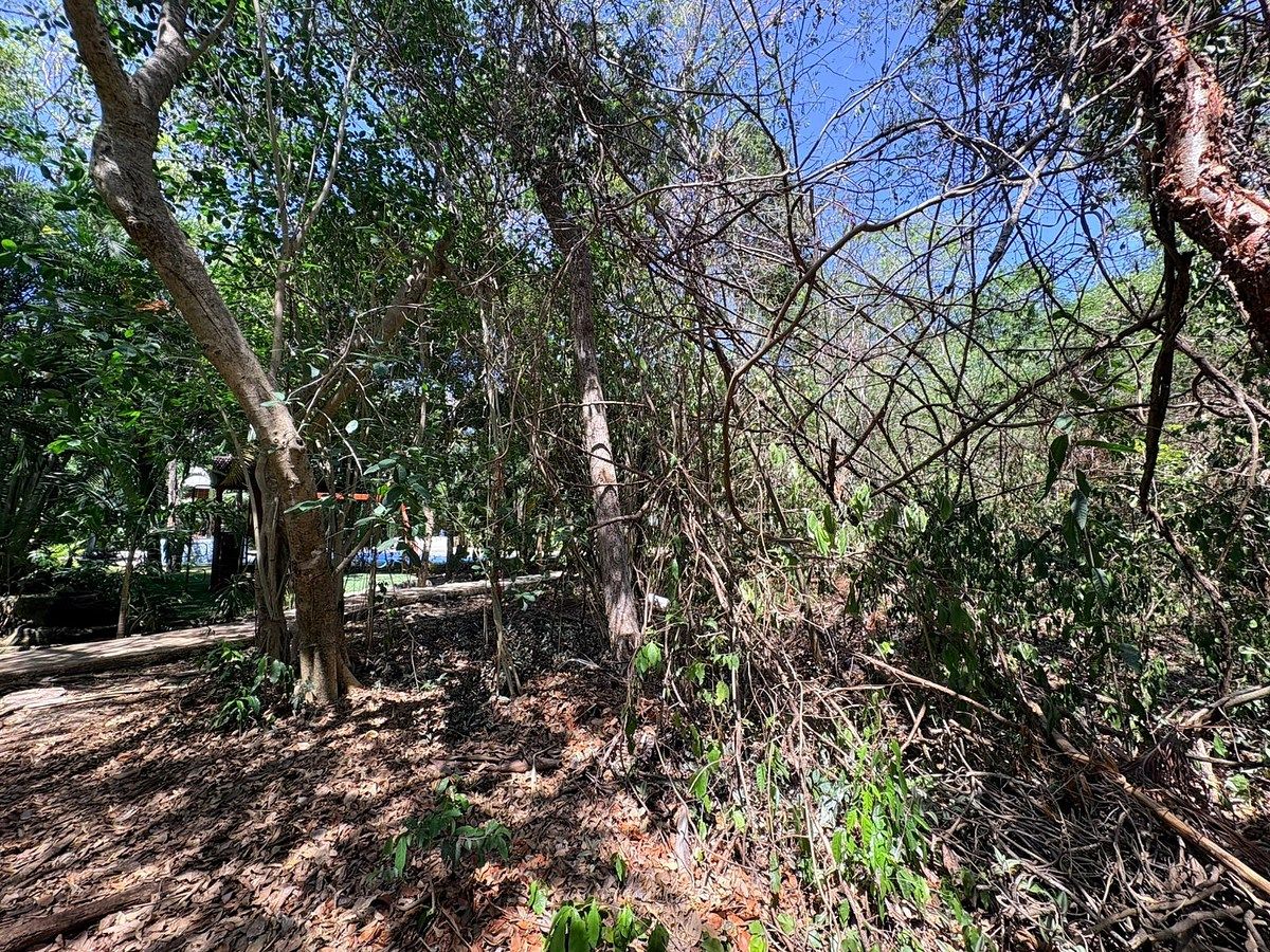 Lote em Selvamar, Playa del Carmen, foto 3 de 4