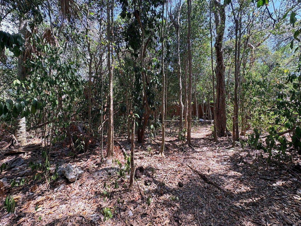 Lote em Selvamar, Playa del Carmen, foto 4 de 4