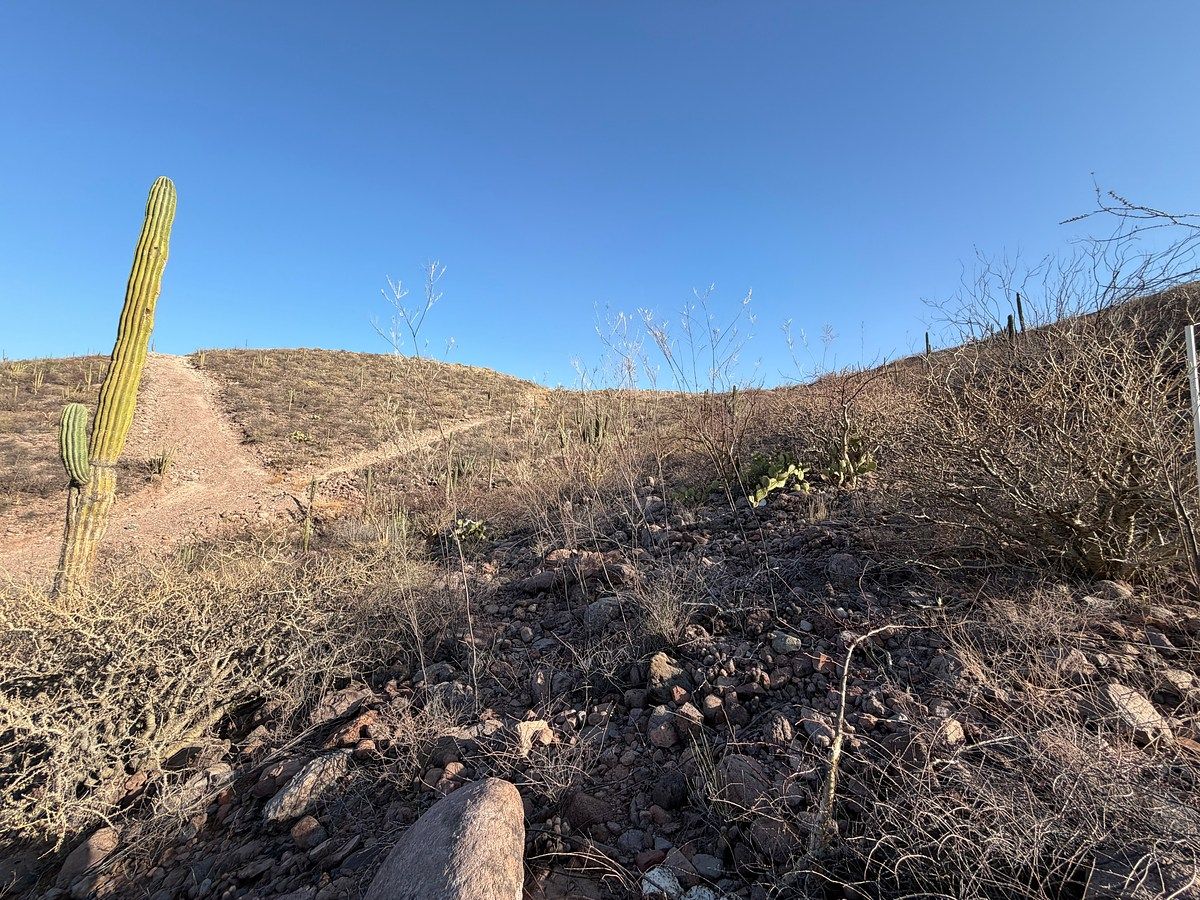 Terreno en Lomas de Palmira, La Paz, foto 3 de 5