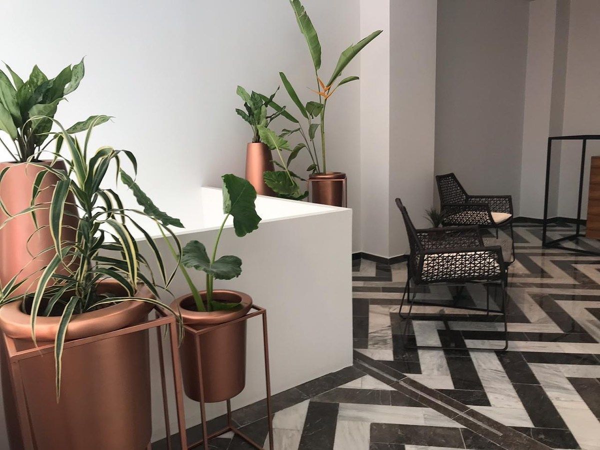 Apartamento em Gonzalo Guerrero, Playa del Carmen, foto 7 de 17