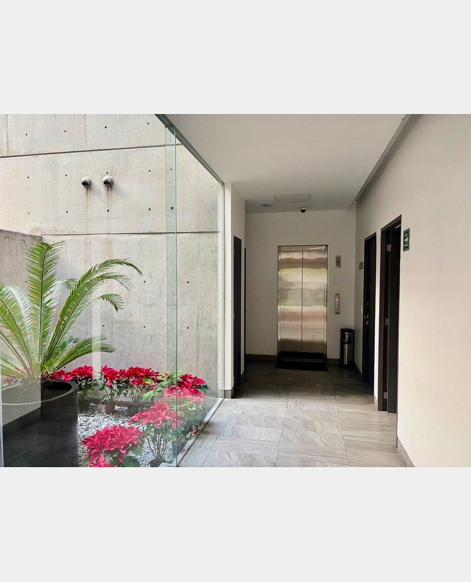 Apartment in Del Valle Norte, Benito Juárez, photo 17 of 20