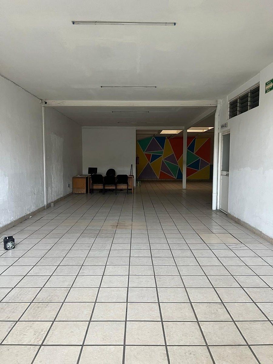 Retail Space in Lomas de Polanco, Guadalajara, photo 3 of 6