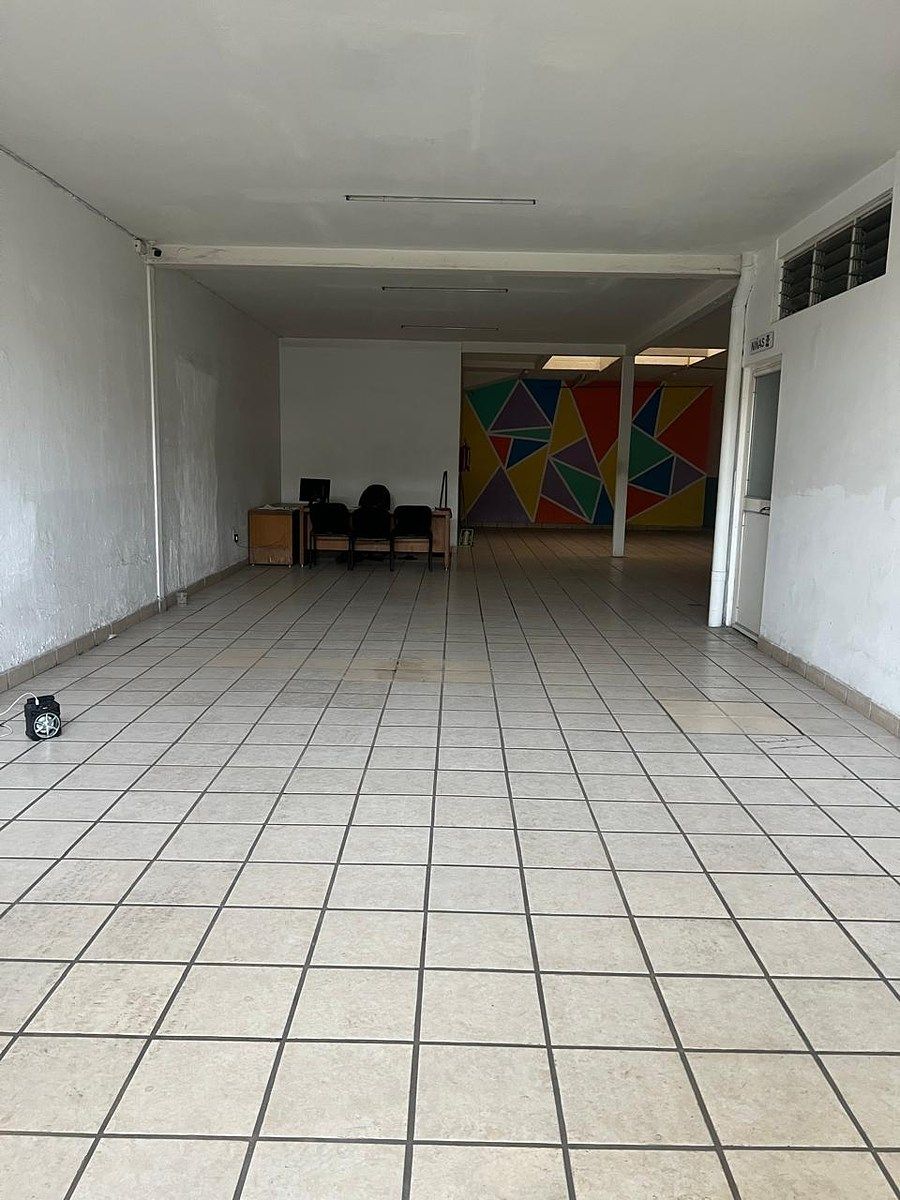 Retail Space in Lomas de Polanco, Guadalajara, photo 4 of 6