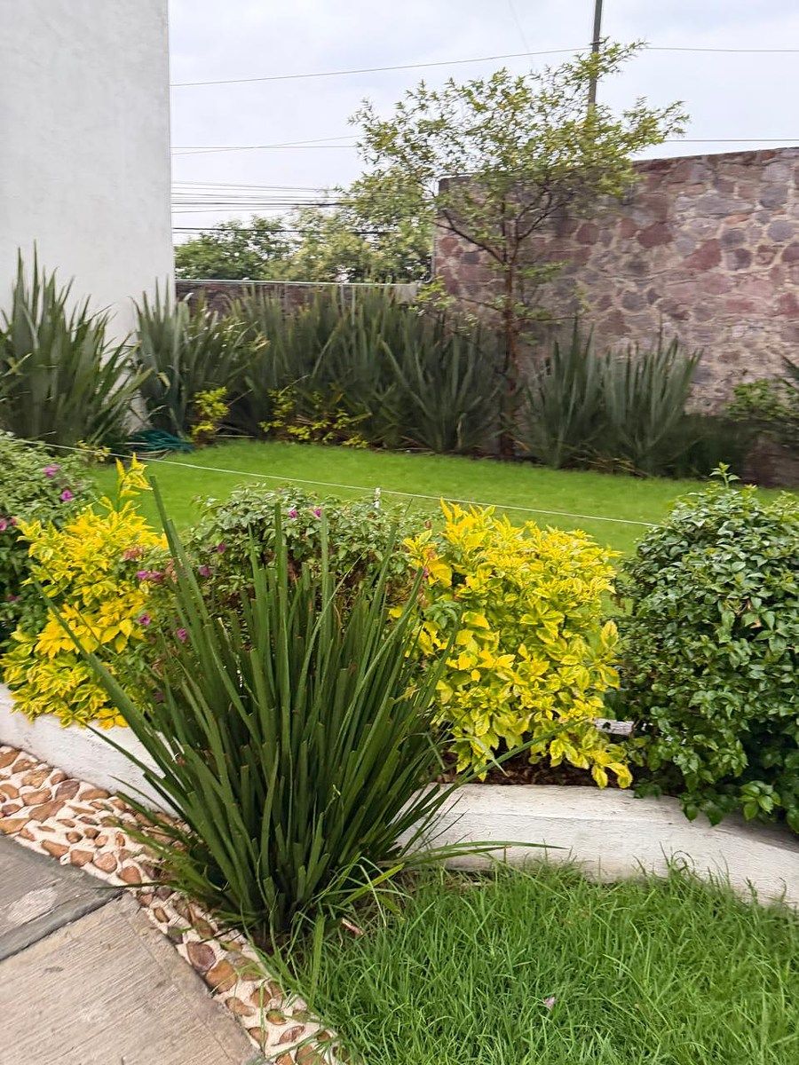 Departamento en Tlayapa, Tlalnepantla de Baz, foto 14 de 14