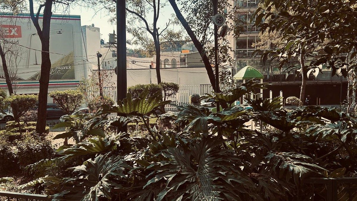 Terreno en Del Valle Norte, Benito Juárez, foto 6 de 6