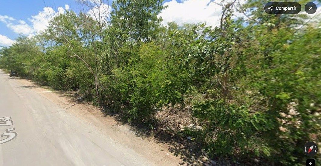 Lote em Santa Gertrudis Copo, Mérida, foto 8 de 8