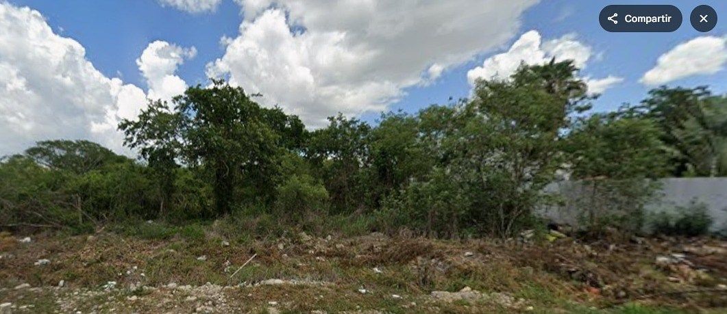 Lote em Santa Gertrudis Copo, Mérida, foto 3 de 8