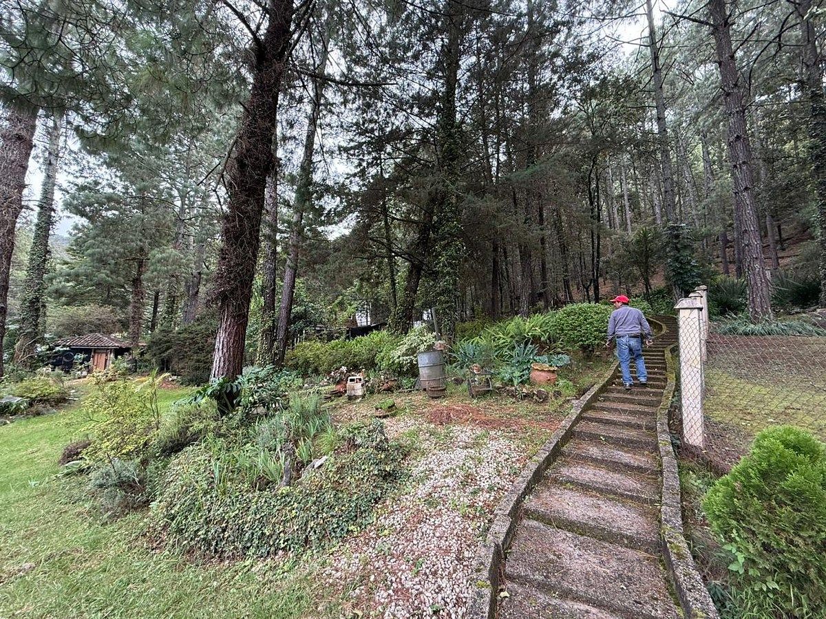 Lote em María Auxiliadora, San Cristóbal de Las Casas, foto 2 de 8