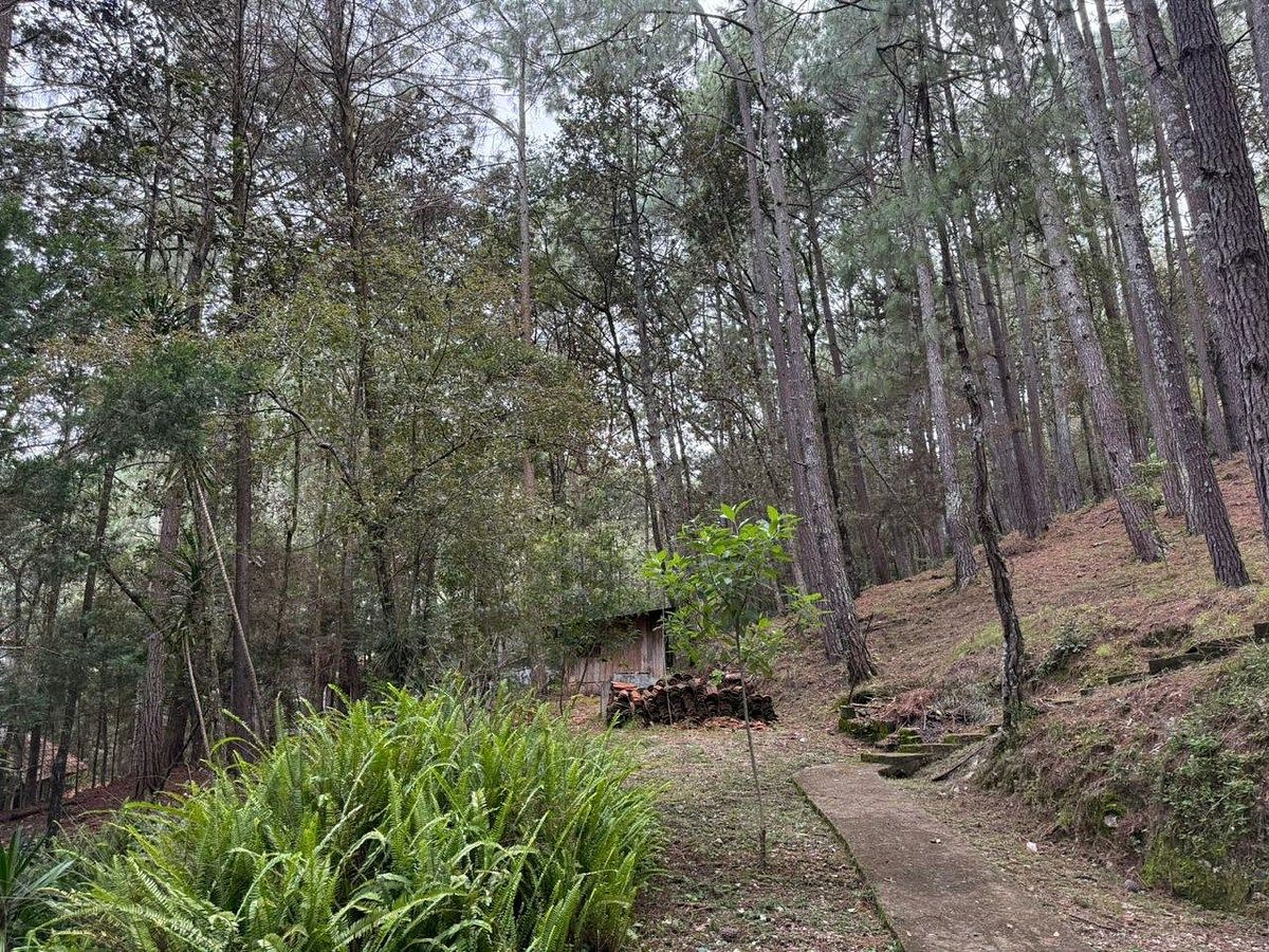 Lote em María Auxiliadora, San Cristóbal de Las Casas, foto 6 de 8