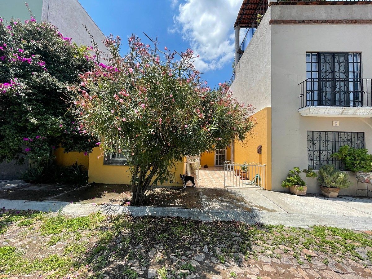 Departamento en San Antonio, San Miguel de Allende, foto 8 de 20