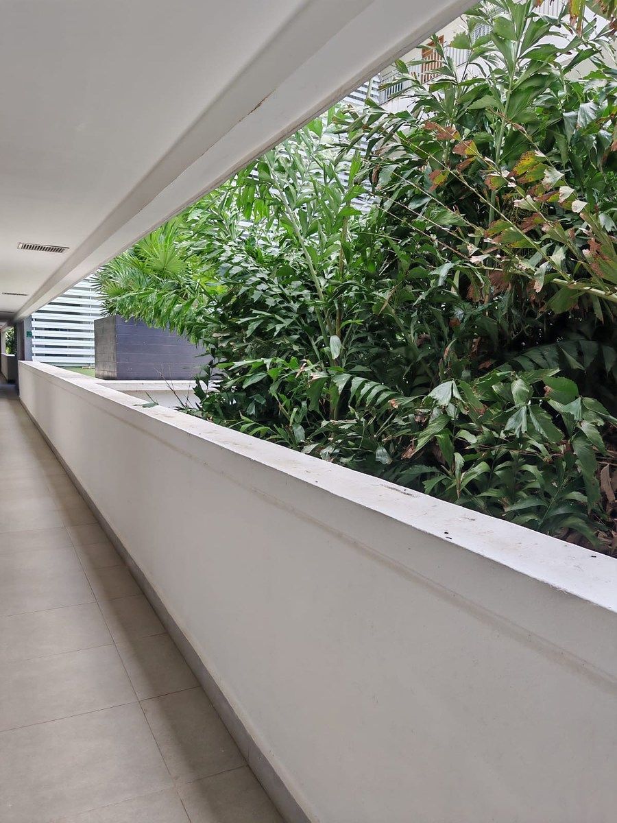 Apartamento em Vía Montejo, Mérida, foto 6 de 15