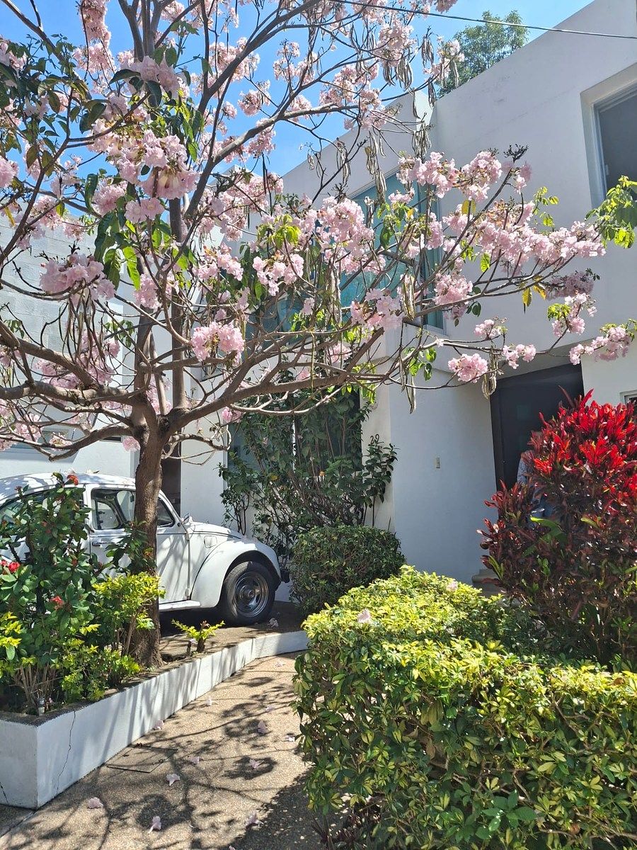 Casa en Analco, Cuernavaca, foto 23 de 24