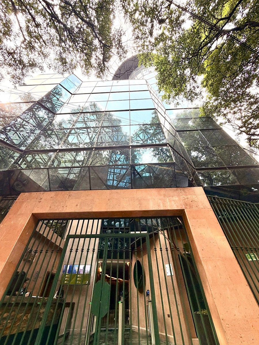 Oficina en Polanco V Sección, Miguel Hidalgo, foto 10 de 18